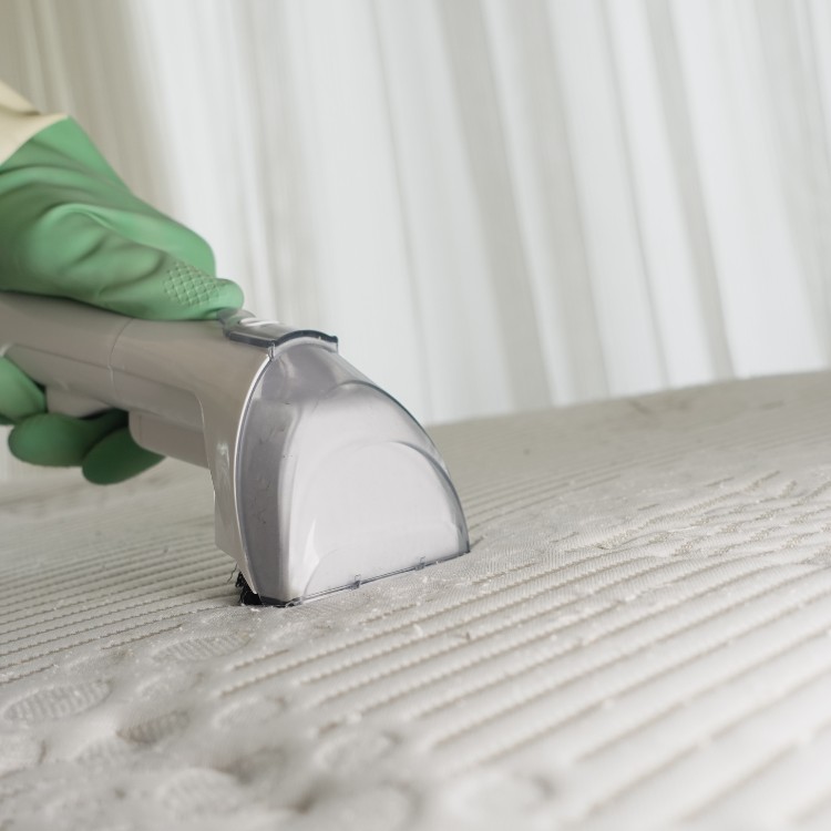 Carpet and Upholstery Cleaning in Superior, WI